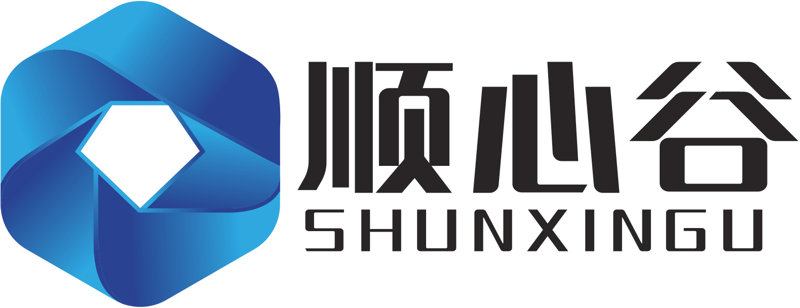 Company Introduction